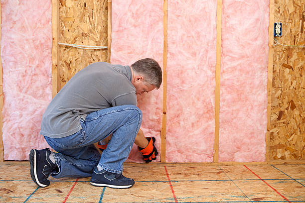 Best Types of Insulation in Palestine, IL