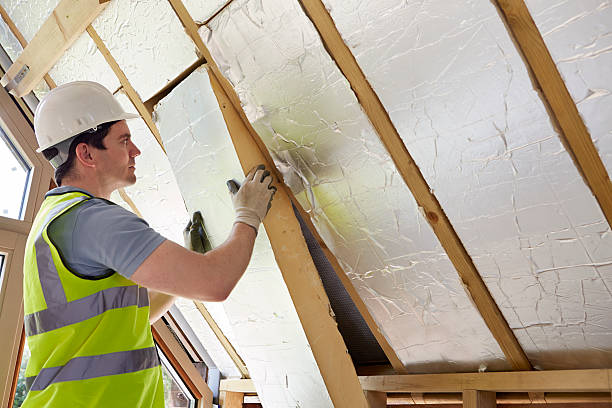 Best Residential Insulation in Palestine, IL
